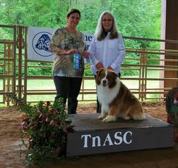 CH Fiddlers Green Buckshot RSA-O JSA-E CD - Image 2