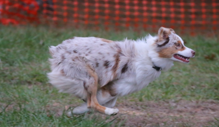 Revelaire Give Me Three Steps - Image 1