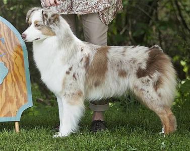 Revelaire Give Me Three Steps - Image 2